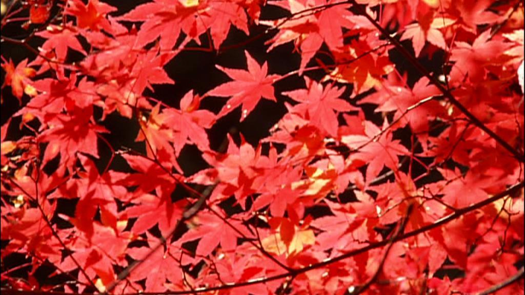 Dormy Inn Kurashiki Natural Hot Spring Exterior photo